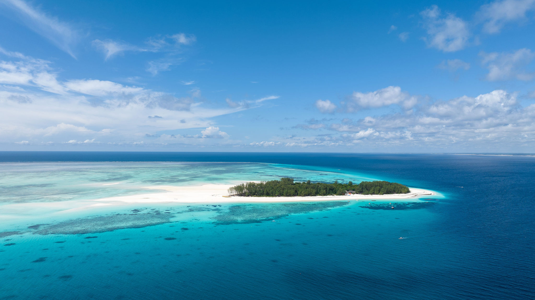 Full Day Safari blue snorkeling tour